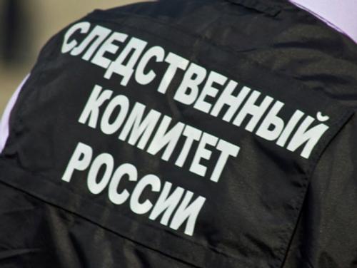 Депутат Альшевских: в отношении телеведущей Лазаревой возбуждено уголовное дело