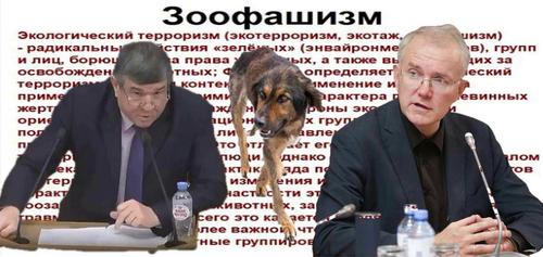 «Зоовойны»: одни предлагают ввести ответственность за дискредитацию зоозащитников в СМИ, другие — принять закон о зооэкстремистах
