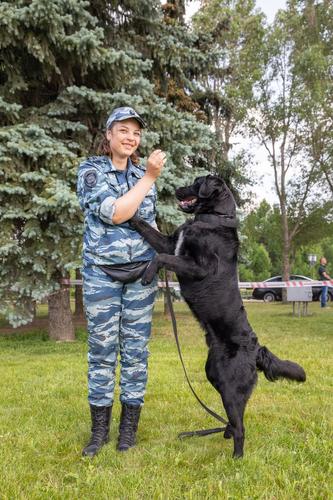 Музей Победы пригласил на бесплатный кинопоказ в День фронтовой собаки  &nbsp;